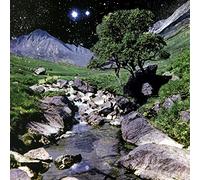 The Beta Band - The Beta Band [VINYL]