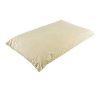 The Bettersleep Company Hospital Grade Polyurethane Cover Waterproof Wipeable Pillow