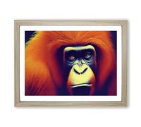 The Bewitching Orangutan Framed Print | A2 Oak Framed Wall Art | Ready to Hang | Modern Animal Picture | Living Room Bedroom Lounge Office