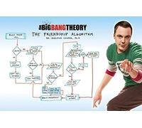 The Big Bang Theory Friendship Algorithm Maxi Poster