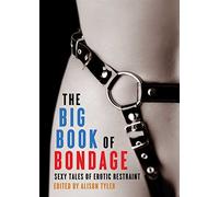 The Big Book of Bondage: Sexy Tales of Erotic Restraint