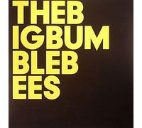 The Big Bumble Bees - The Big Bumble Bees