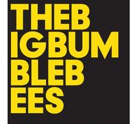 The Big Bumble Bees - The Big Bumble Bees
