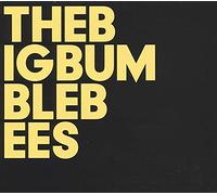 The Big Bumble Bees - The Big Bumble Bees [VINYL]