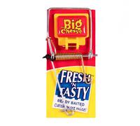 The Big Cheese Mouse Trap