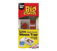 The Big Cheese Mouse Trap (H)44mm (W)101mm