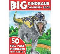 THE BIG DINOSAUR COLOURING BOOK: Kids Colouring Book With Dinosaur Facts