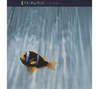 The Big Dish - Swimmer