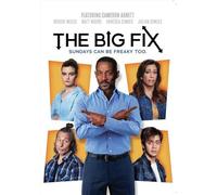 The Big Fix
