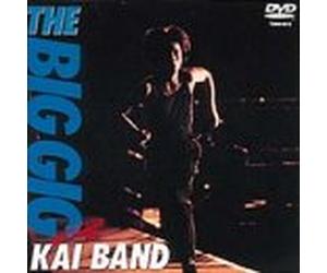 THE BIG GIG [DVD]