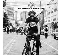 The Bigger Picture [VINYL]