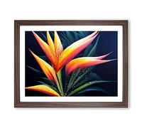 The Bird Of Paradise Flower Vol.2 Framed Print | A2 Walnut Framed Wall Art | Ready to Hang | Modern Floral Picture | Living Room Bedroom Lounge Office