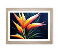 The Bird Of Paradise Flower Vol.2 Framed Print | A3 Oak Framed Wall Art | Ready to Hang | Modern Floral Picture | Living Room Bedroom Lounge Office
