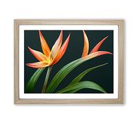 The Bird Of Paradise Flower Vol.3 Framed Print | A2 Oak Framed Wall Art | Ready to Hang | Modern Floral Picture | Living Room Bedroom Lounge Office