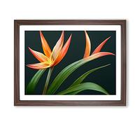 The Bird Of Paradise Flower Vol.3 Framed Print | A2 Walnut Framed Wall Art | Ready to Hang | Modern Floral Picture | Living Room Bedroom Lounge Office