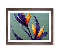 The Bird Of Paradise Flower Vol.5 WHT Framed Print | A3 Walnut Framed Wall Art | Ready to Hang | Modern Floral Picture | Living Room Bedroom Lounge Office