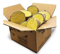 The Birdfood Warehouse Suet Half Coconut, 15 Pack - Mealworm & Insect | Wild Garden Bird Food, Butter for Birds, Hanging Feeder, Suet for Birds