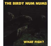 The Birdy Num Nums - What Fish? [Vinyl LP]