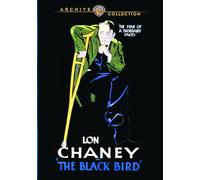 The Black Bird DVD - Owen Moore, Andy McLennan, Doris Lloyd, Renee Adoree