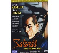 THE BLACK CAT