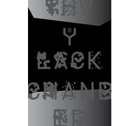 The Black Chamber. Surveillance, Paranoia, Invisibility & the Internet