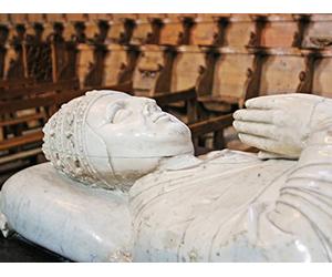 The Black Death in Avignon