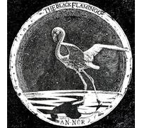 The Black Flamingo - An-Nur [VINYL]