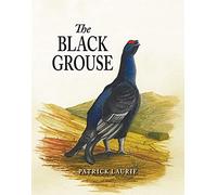 The Black Grouse