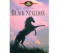 The Black Stallion