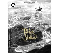 THE BLACK STALLION NEW REGION 1 BLU-RAY