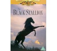 The Black Stallion – DVD – 1979