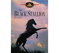 The Black Stallion [DVD]