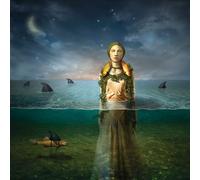 The Bled Found in the Flood (Vinyl) (US IMPORT)