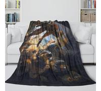 The Blinding of Samson Warm Comfort Blanket - Rembrandt Air Conditioner Blanket Birthday Gift for Hubby Boyfriend Girlfriend Neighbor All Seasons - Sofa Bed Chair 70x80inch(180x200cm)