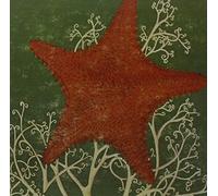 The Blithe Sons - Arm Of The Starfish