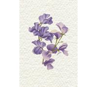 The Bloom Journal: February Violets: A Beautiful Place for Notes and New Ideas | 120 lined pages | Birth Month Flower Notebook, Notes, Planner, Schedule, To Do List, Reminders