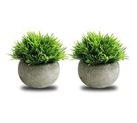 THE BLOOM TIMES 2 PCS Small Fake Plants for Home Office Bathroom Decor, Mini Artificial Greenery for House Decorations (Potted Plants)