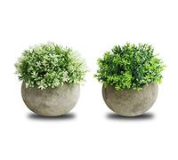 THE BLOOM TIMES 2 PCS Small Fake Plants for Home Office Bathroom Decor, Mini Artificial Greenery for House Decorations (Potted Plants)