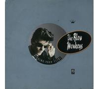 The Blow Monkeys - Digging Your Scene