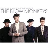 The Blow Monkeys - Digging Your Scene: The Best of The Blow Monkeys