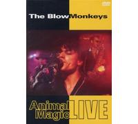 The Blow Monkeys: Live From London [DVD]