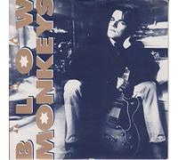 The Blow Monkeys - Some Kind Of Wonderful