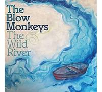 THE BLOW MONKEYS - THE WILD RIVER [VINYL]