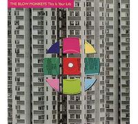 The Blow Monkeys - This Is Your Life