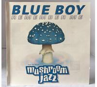The Blue Boy - Remember Me