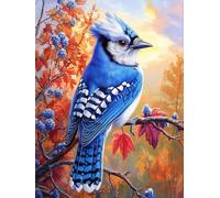 The Blue Jay Stamped Cross Stitch Kits for Beginners Adults - Preprinted 11CT Easy Pattern Needlepoint Kits, Arts and Crafts for Home Decor (11.8x15.7inch) A73