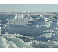 The Blue Planet - E04 - Frozen Seas