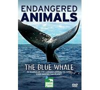The Blue Whale (Endangered Animals)