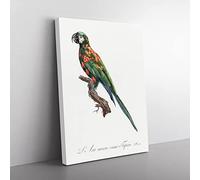 The Blue Winged Macaw Parrot By F. Levaillant Vintage Canvas Wall Art Print Ready to Hang, Framed Picture for Living Room Bedroom Home Office Décor, 76x50 cm (30x20 Inch)