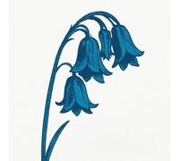 The Bluebells - This Is The Bluebells [VINYL]